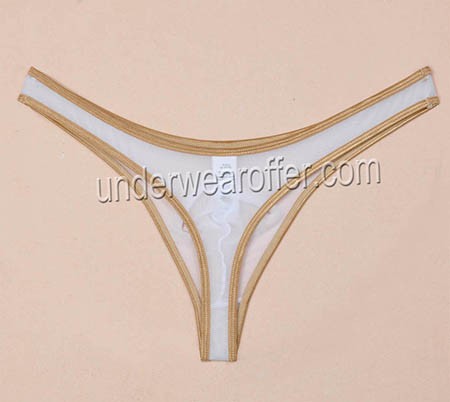 Men Thong Liquid Stretch Micro Underwear Shiny Border Sheer Mesh Mini G-Strings