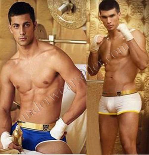 Sexy modal Mens Underwear boxer brief shorts MU219