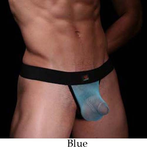 Gay Male See Thru Underwear 33