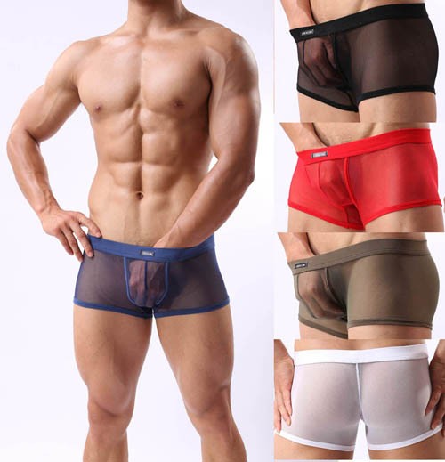 Sexy Mens See Through Soft Mesh Boxers Briefs Underwear Comfy Trunks Boxers M L Xl 5 Colors For 2348