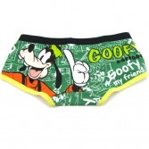 Cartoon Goofy Women's Girl's Underwear  shorts  KT47