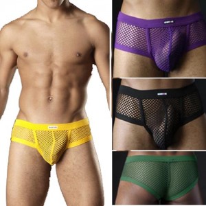 Sexy mesh Briefs Mens underwear shorts Trunk MU75
