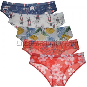 Sexy Men's Underwear Sports Bodywear Mens Underwear Briefs Floral Hipster Underpants Male Sheer Mesh Full Briefs MU2273