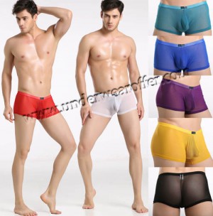 Sexy Men’s Sheer Boxer Briefs Bulge Pouch Underwear See Through Mesh Boxers Size S M L 8 Colors For Choose MU883